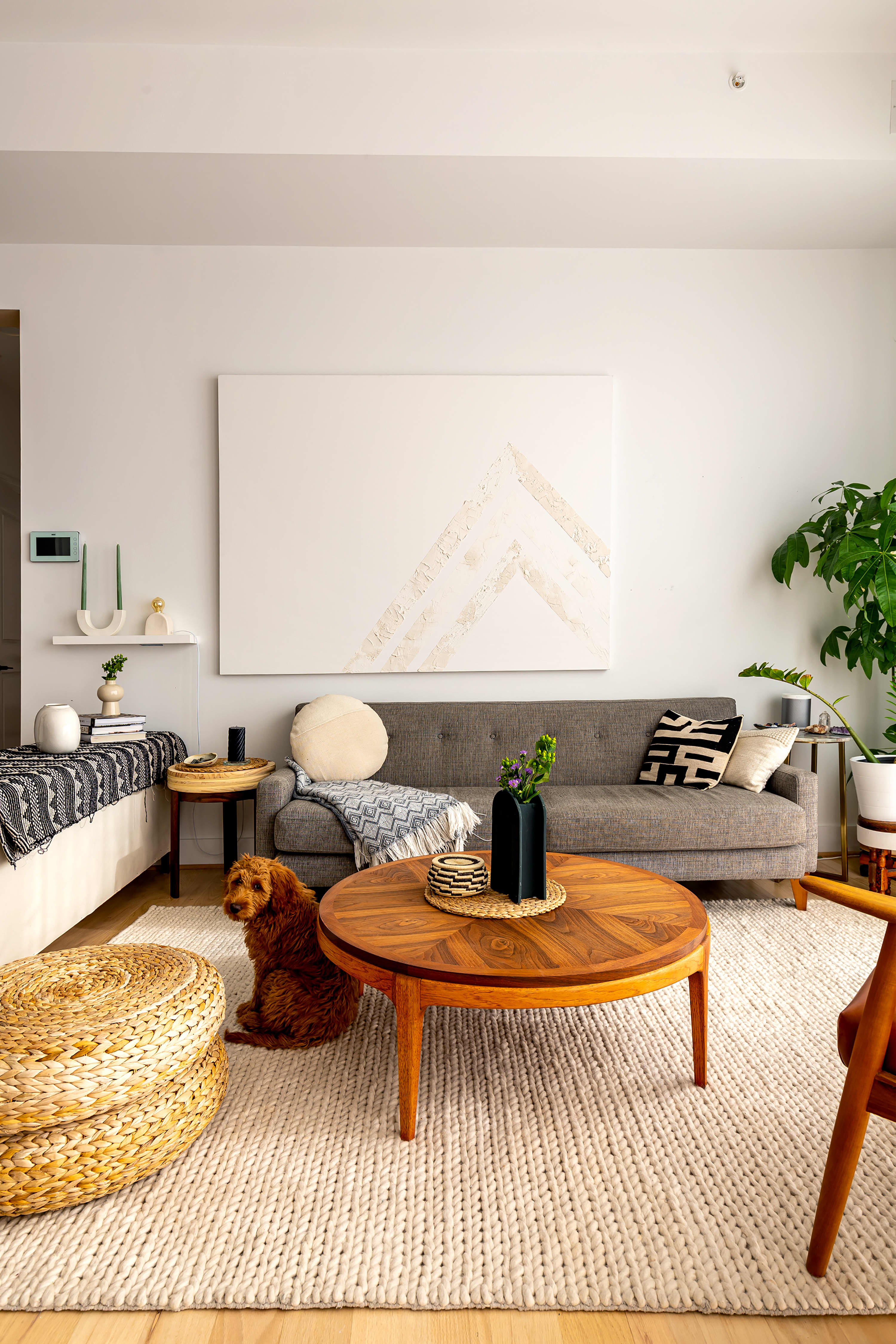 850-square-foot-washington-d-c-condo-tour-photos-apartment-therapy